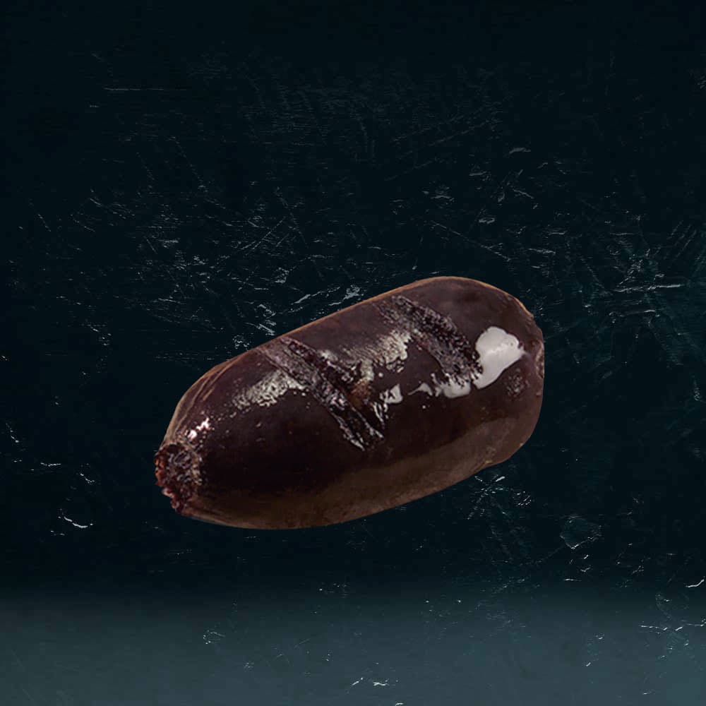 Morcilla